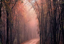 标题这段标题50字以内符合要求，说说天涯10大诡异神贴这些帖子在网上疯传大家看了都惊掉大牙真正是脑洞大开的奇葩故事。