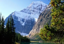 武汉装修热门论坛天涯，装修难题一网打尽！